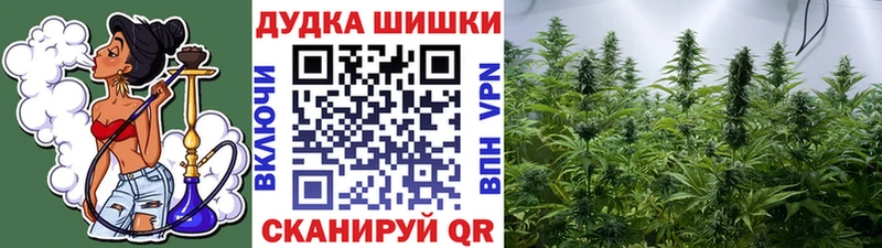 МАРИХУАНА план  Приозерск 